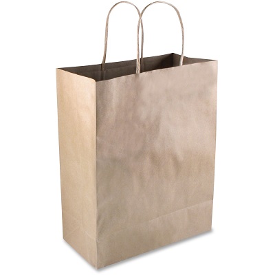 Sparco Kraft Paper Bags - White