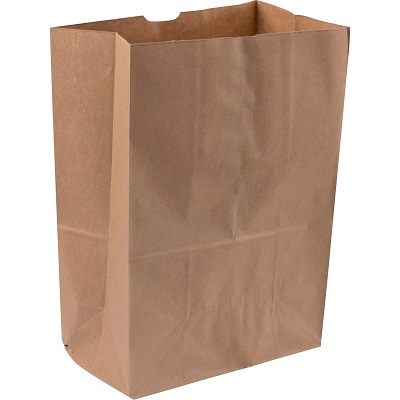 Duro 6 lb. White Paper Bag - 500/Bundle