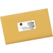 Avery Shipping Labels TrueBlock Technology, 2" x 4", White, 250/Pack - MLA5263