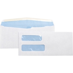 Business Source Double Window Invoice Envelopes, #10, 500/Box Security Envelope, Double Window Envelope, #10 envelope