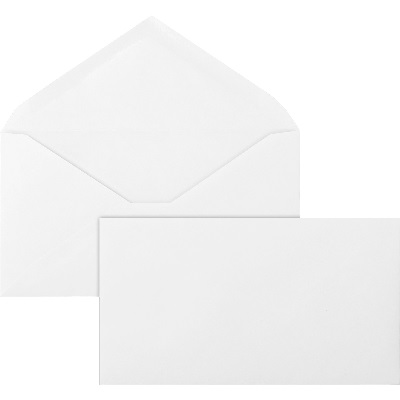 Business Source Envelopes, White Wove V-Flap, #6-3/4, Gummed, 500/Box no 10 Envelopes, gummed envelopes, no window envelopes, bsn42250