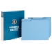 Business Source File Folders, 1/3 Tab Cut, 100/Box, Blue - MFB13100BL