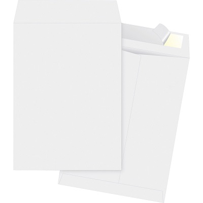 Business Source Tyvek Open-End Envelopes, #10, 100/Box 9 x 12 envelopes, #10 envelopes, bsn65770