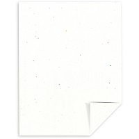 Stardust White